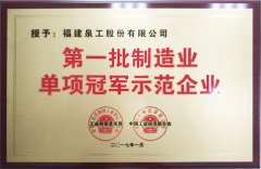 第一批制造业单项冠军企业